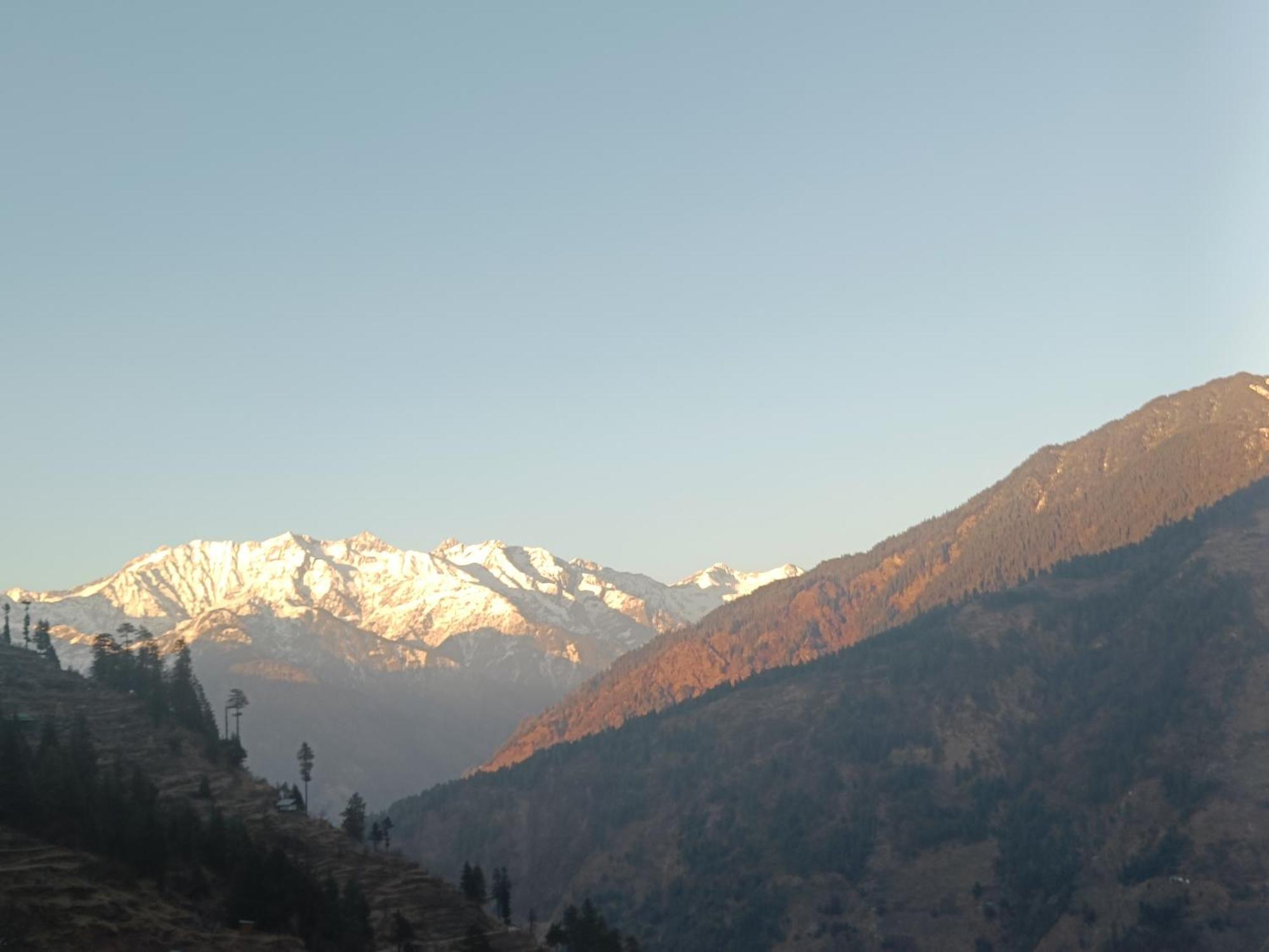 Trimounts-A Boutique Hotel & Wellnes Center In Tirthan Valley Banjār Kültér fotó